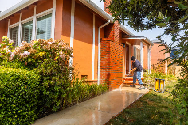 Best Roof Pressure Washing  in Atwood, TN